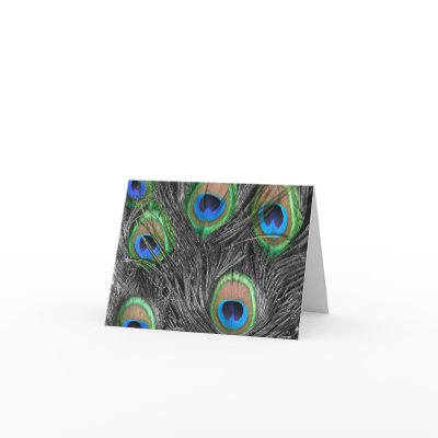 Black & White Peacock Feather Thank You Greeting Cards by ChristyWyoming