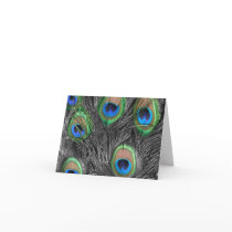 Black & White Peacock Feather Thank You cards