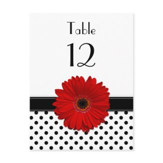 Black & White Polka Dot Red Gerbera Table Card postcard