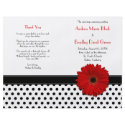 Black & White Polka Dot Red Gerbera Daisy Foldable Wedding Program