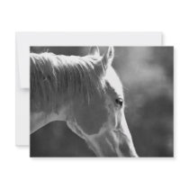 Black & White Pop Art Horse invitations