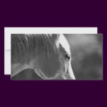 Black & White Pop Art Horse