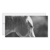 Black & White Pop Art Horse Photo Greeting Card
