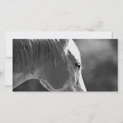 Black White Pop Art Horse Photo Greeting Card by made in atlantis