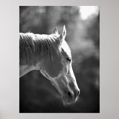 Black White Pop Art Horse Print Poster by made in atlantis