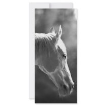 Black & White Pop Art Horse rack cards by made_in_atlantis Black & White Pop Art Horse rack cards