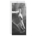 Black & White Pop Art Horse Personalized Rack Card