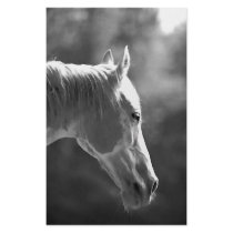 Black & White Pop Art Horse stationery by made_in_atlantis Black & White Pop Art Horse stationery