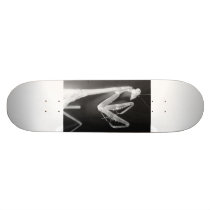 Black&White Praying Mantis(skateboard)