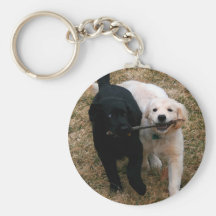 Black & white puppies key chain