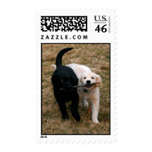 Black & white puppies postage stamps