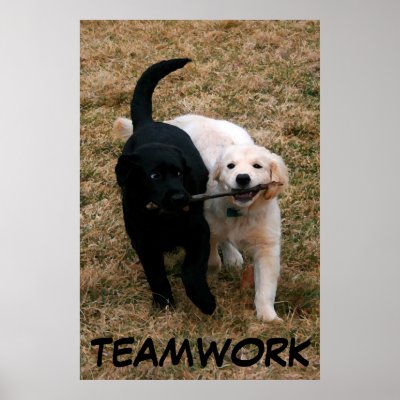 Black & white puppies poster by heathenos