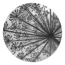 Black & White Queen Anne's Lace Round Sticker