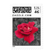 Black White Red Rose Stamps