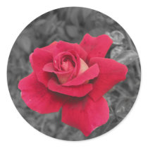 Black White Red Rose