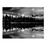 Black & White Reflections Post Card