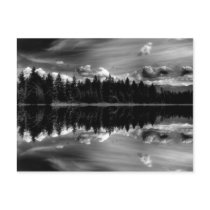 Black & White Reflections Post Card postcards by kcranmerart Black & White Reflections Post Card postcards