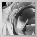 Black & White Rose: Block 1 Print