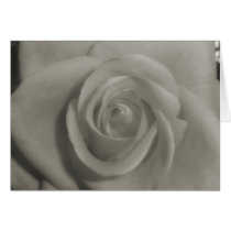 Black & White Rose card