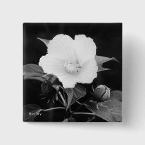 Black & White Rose Mallow Square Button