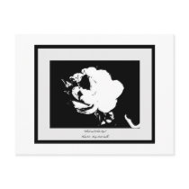Black&White Rose postcards