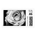 Black & White Rose With Contrast postage by slantedeyes Black & White Rose With Contrast postage