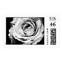 Black & White Rose With Contrast postage by slantedeyes Black & White Rose With Contrast postage