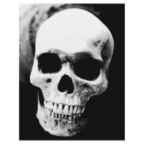 Black & White Skull flyers