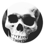 Black & White Skull Sticker