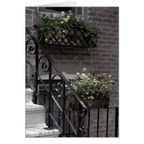 Black &  White  steps Cards