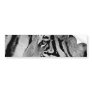 Black & White Tiger Bumper Sticker