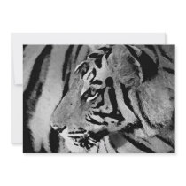 Black & White Tiger Invitation