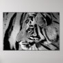 Black & White Tiger Poster Print