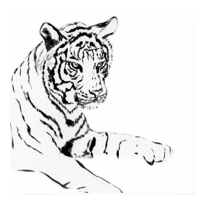 Black &amp; White Tiger Sketch Poster by donnabellas