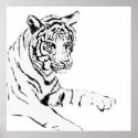 Black & White Tiger Sketch posters