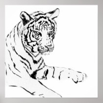 Black & White Tiger Sketch Poster