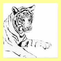 Black & White Tiger Sketch posters