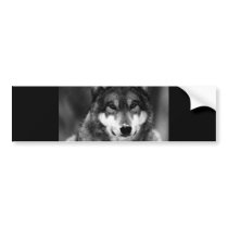 Black & White Wolf Bumper Stickers