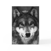 Black & White Wolf Greeting Card