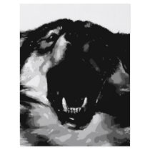 Black & White Wolf flyers