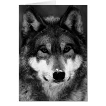 Black & White Wolf Greeting Card