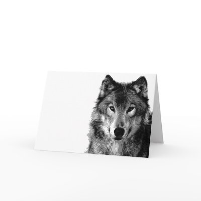 Black & White Wolf Portrait Cards by hizli_art