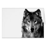 Black & White Wolf Portrait Cards