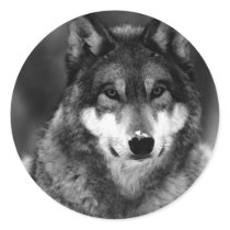 Black & White Wolf Round Stickers