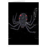 Black Widow Cards
