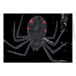 Black Widow Black Widow
