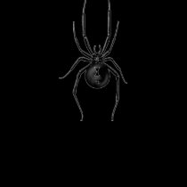 Black Widow Ladies' Tank Top t-shirts