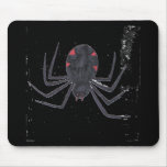 Black Widow Black Widow