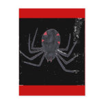 Black Widow Post Cards