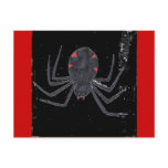 Black Widow Postcard
